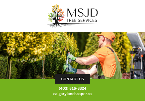 Image for MSJD Services with ID of: 6874608