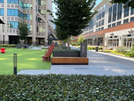 Image for Peachtree Landscape with ID of: 6877754