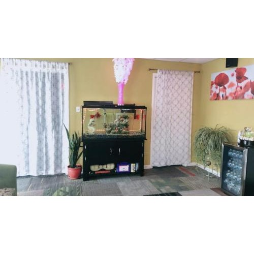 Image for Sophia Massage with ID of: 6877858