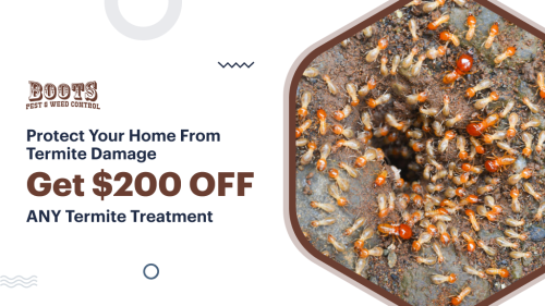 Image for Boots Pest & Weed Control with ID of: 6879209