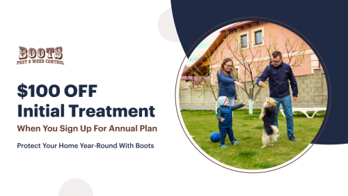 Image for Boots Pest & Weed Control with ID of: 6879219