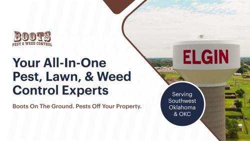 Image for Boots Pest & Weed Control with ID of: 6879221