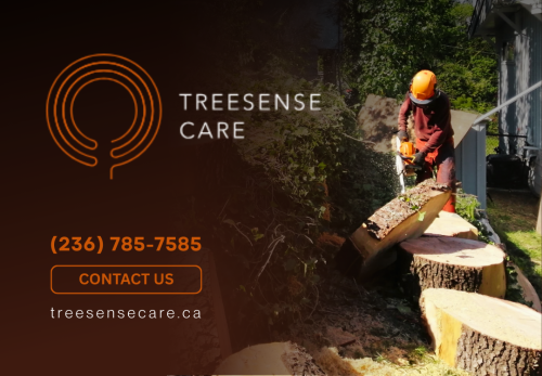 Image for TREESENSE CARE - Burnaby Tree Service with ID of: 6879299