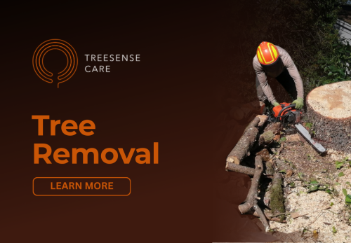 Image for TREESENSE CARE - Burnaby Tree Service with ID of: 6879320