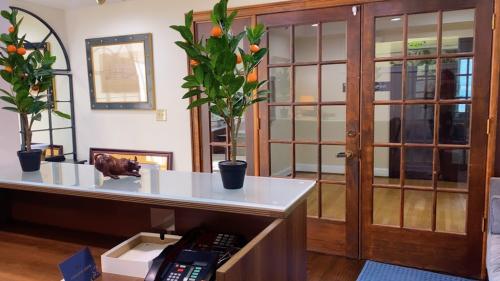 Image for Buckhead Wealth Management with ID of: 6879332