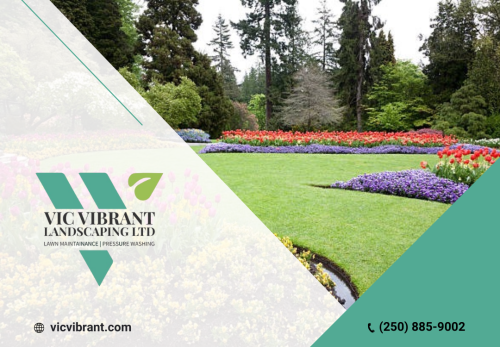 Image for VIC VIBRANT LANDSCAPING LTD. with ID of: 6879508