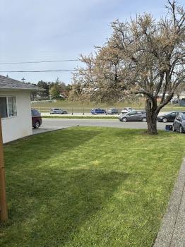 Image for VIC VIBRANT LANDSCAPING LTD. with ID of: 6879509