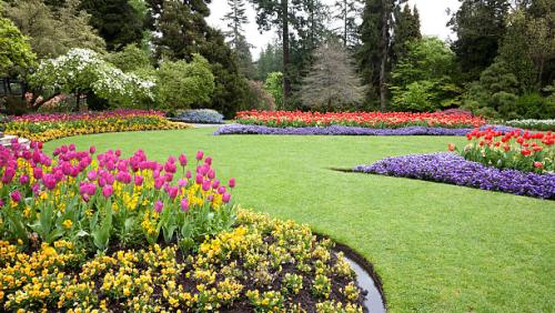 Image for VIC VIBRANT LANDSCAPING LTD. with ID of: 6879510