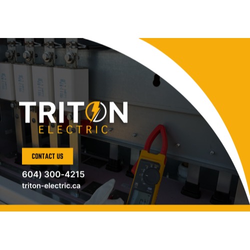 Image for Triton Electric with ID of: 6881542
