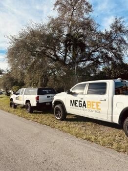 Image for Mega Bee Rescues & Pest Control with ID of: 6883760