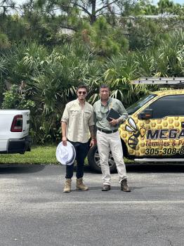 Image for Mega Bee Rescues & Pest Control with ID of: 6883767