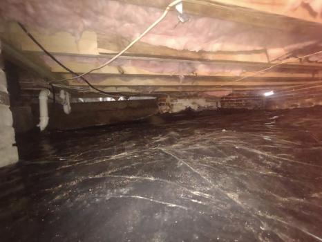 Image for The CrawlSpace King with ID of: 6884164