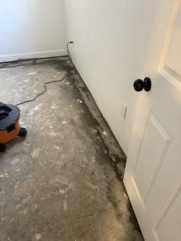 Image for The CrawlSpace King with ID of: 6884178