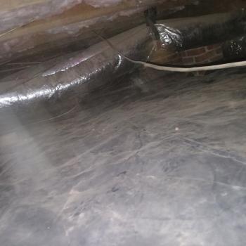 Image for The CrawlSpace King with ID of: 6884186