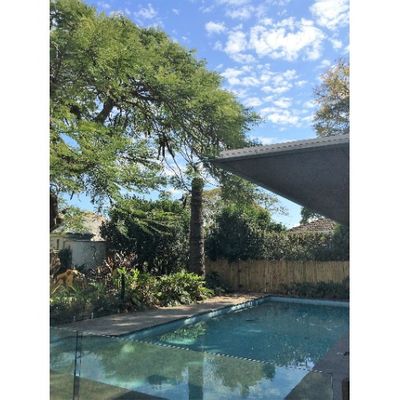 Image for A-Local Tree Service with ID of: 5890841