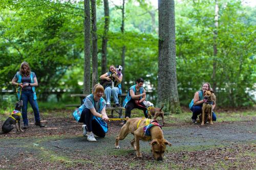 Image for Tuckered Out Dog Walking with ID of: 6885890