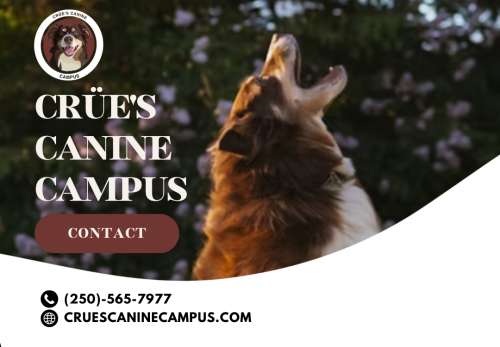 Image for Crüe's Canine Campus with ID of: 6886216