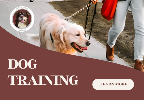 Image for Crüe's Canine Campus with ID of: 6886217