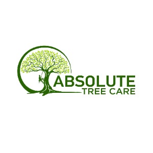 Image for Absolute Tree Care with ID of: 6979248