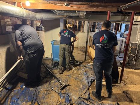 Image for Prime Restore Solutions LLC with ID of: 6888533