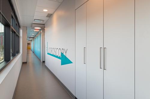 Image for MIC Medical Imaging - Windermere with ID of: 6890683