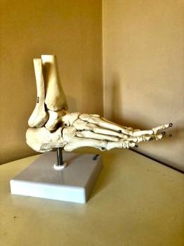 Image for Advantage Physiotherapy with ID of: 6891521
