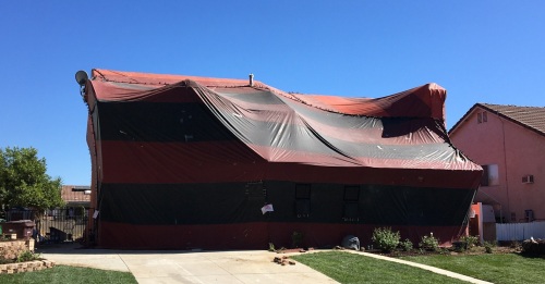 Image for Corky's Pest Control with ID of: 6892859