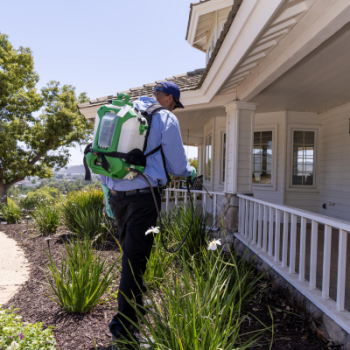 Image for Corky's Pest Control with ID of: 6892919