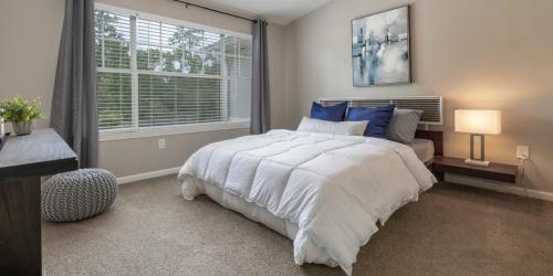 Image for The Palmer Apartments with ID of: 6893121