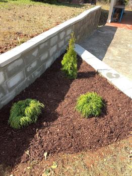 Image for Atlanta Landscape Co.LLC with ID of: 6893948