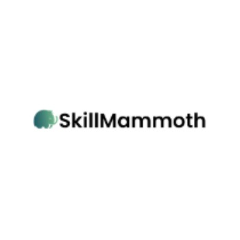 Image for Skill Mammoth Digital with ID of: 6980915