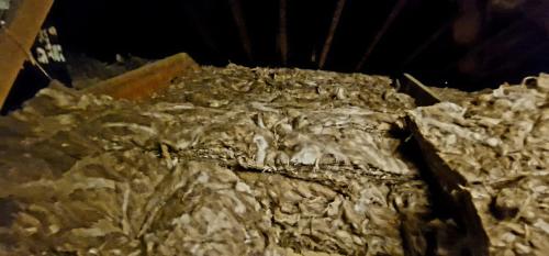 Image for Loft Insulation Specialists with ID of: 6894966