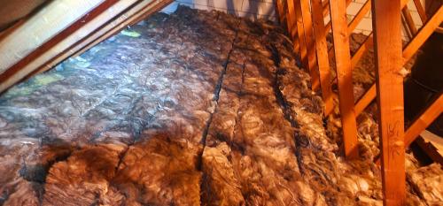 Image for Loft Insulation Specialists with ID of: 6894970