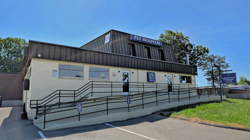 Image for Connecticut Veterinary Center with ID of: 6896111