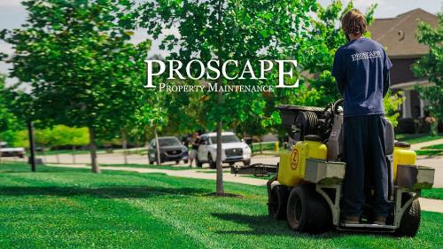 Image for Proscape Property Maintenance with ID of: 6896763