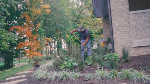 Image for Proscape Property Maintenance with ID of: 6896764