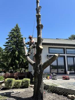 Image for On The Block Landscape and Tree Service with ID of: 6897106