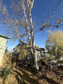 Image for On The Block Landscape and Tree Service with ID of: 6897107