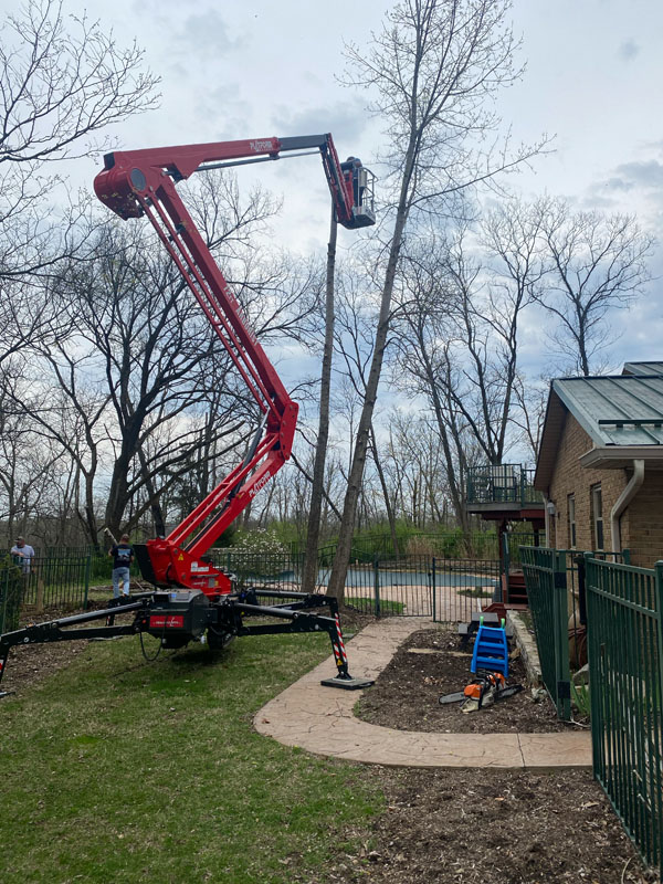 Image for Buckeye Tree Services with ID of: 6897783