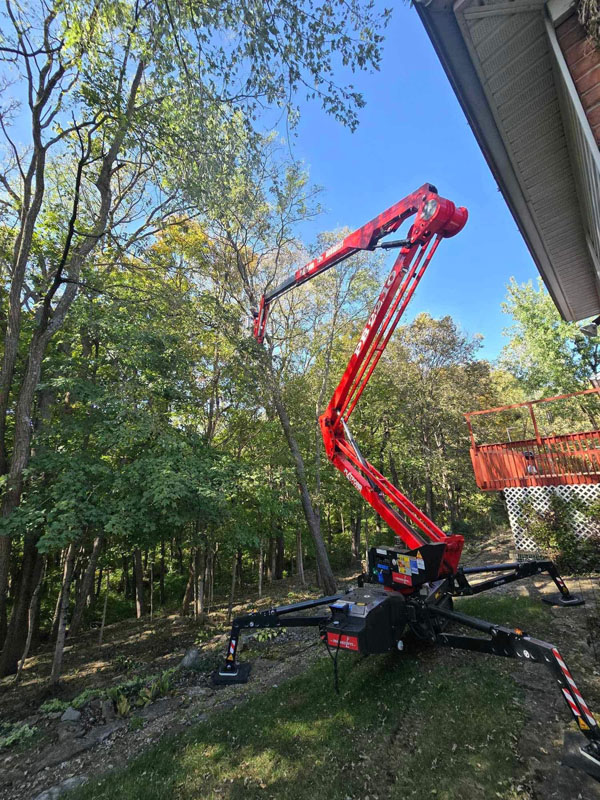 Image for Buckeye Tree Services with ID of: 6897790