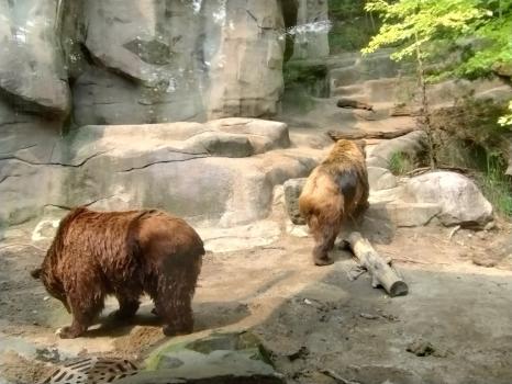 Image for John Ball Zoo with ID of: 6541966