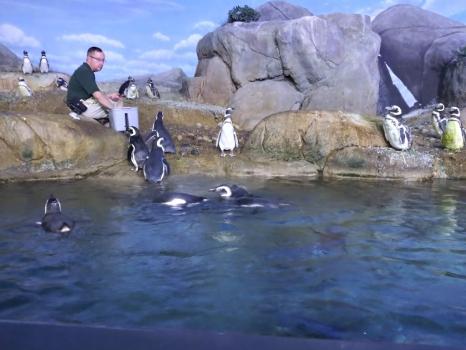 Image for John Ball Zoo with ID of: 6541968