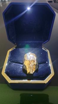 Image for GOLDZENN with ID of: 6898537