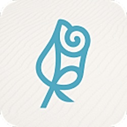Image for Dr. Rose Plastic Surgery with ID of: 6984251