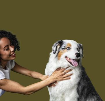Image for Petfolk Veterinary & Urgent Care with ID of: 6900472