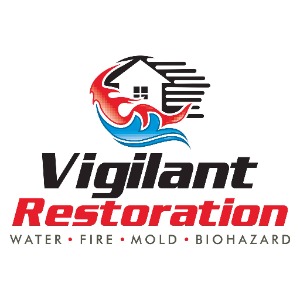 Image for Vigilant Restoration SE with ID of: 6986404