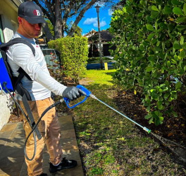 Image for Bugsy's Pest Solutions with ID of: 6901617