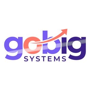 Image for GoBIG Systems, Inc. with ID of: 6989380