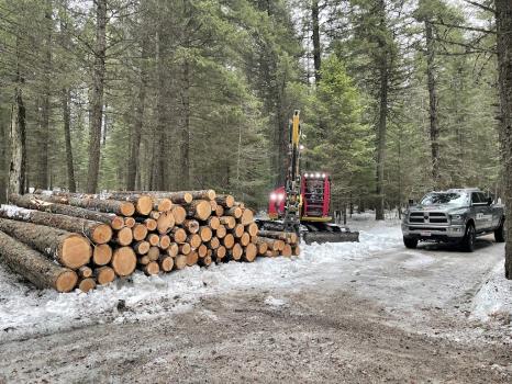 Image for Next Generation Logging with ID of: 6903748
