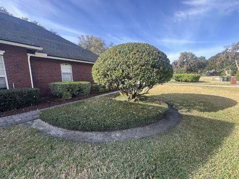 Image for Aaron's Lawn Care LLC with ID of: 6904044